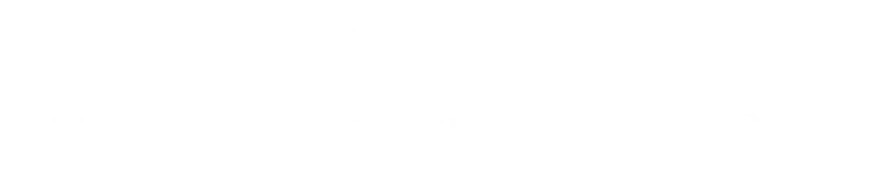 qliro payments